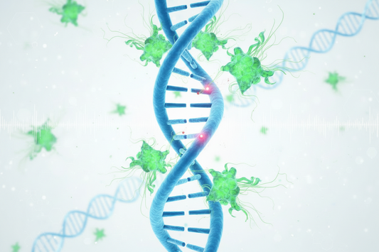 How Cells Repair DNA: Why It Matters for Healthy Aging