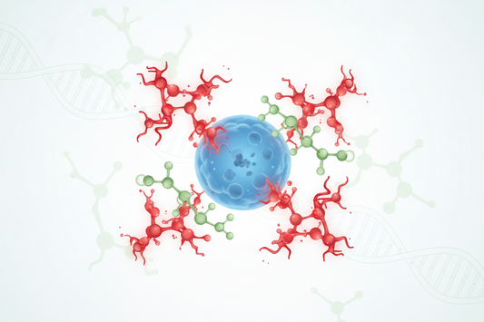 What Are Free Radicals? Understanding the Molecules Behind Oxidative Stress